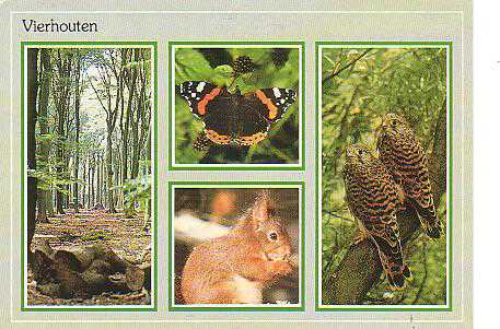 Oude foto's Vierhouten kleur 1